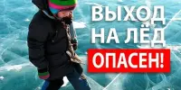 ОСВОД НАПОМИНАЕТ!!!